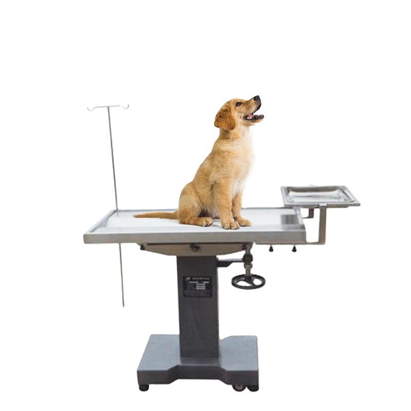 Pet Animals Medical Operation  - Pet Supplies Vet ulasan dan harga