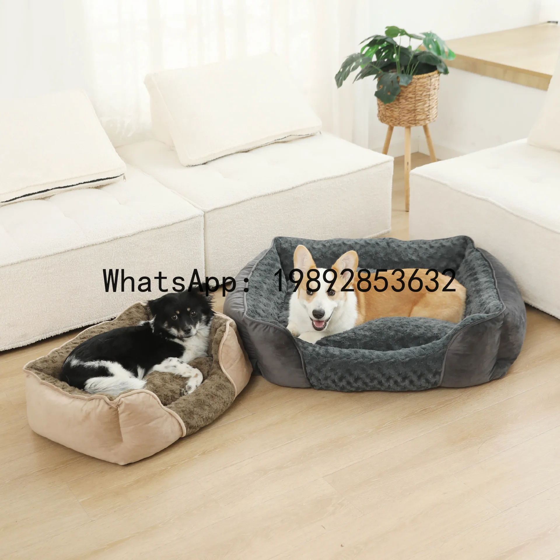 X cat house semi-enclosed dog  - Pet X Supplies & Tack Reviews ulasan dan harga