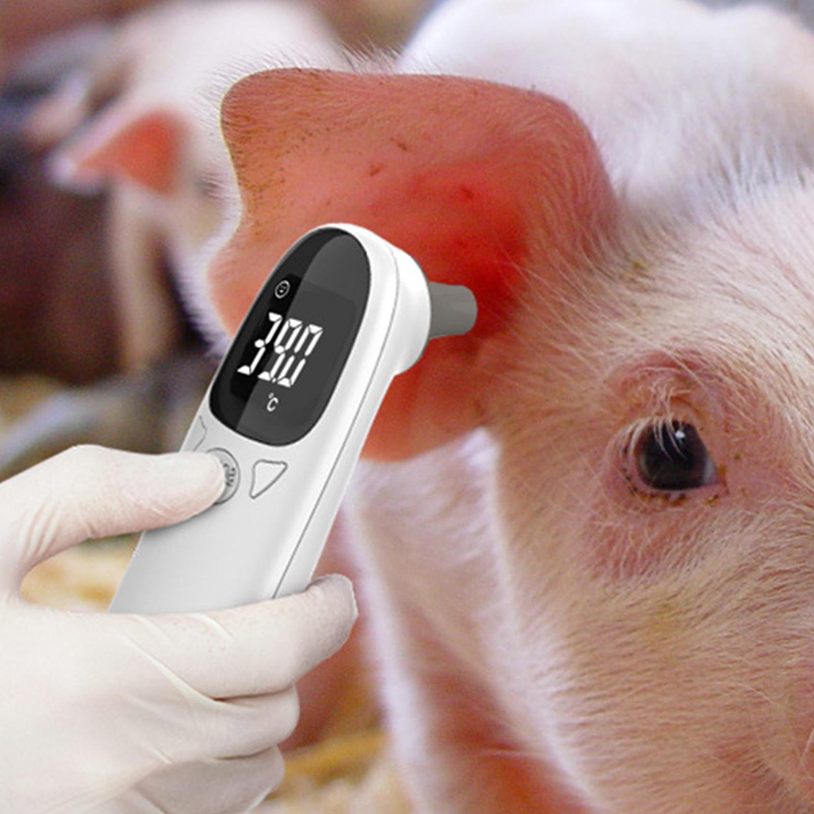 Dog Cat Ear Thermometer Medica - Pet Supplies Vet ulasan dan harga
