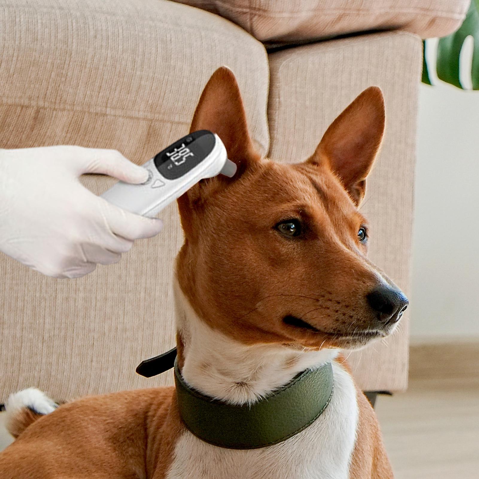 Dog Cat Ear Thermometer Medica - Pet Supplies Vet ulasan dan harga
