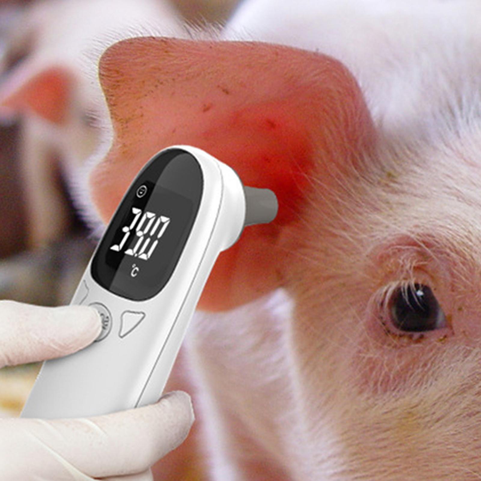 Dog Cat Ear Thermometer Medica - Pet Supplies Vet ulasan dan harga