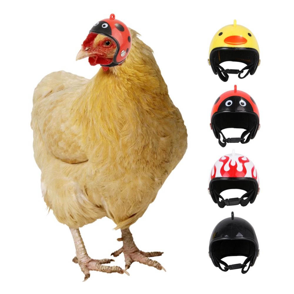 ABS Pet Supplies Funny Pet Pro - Pet X Supplies & Tack Reviews ulasan dan harga