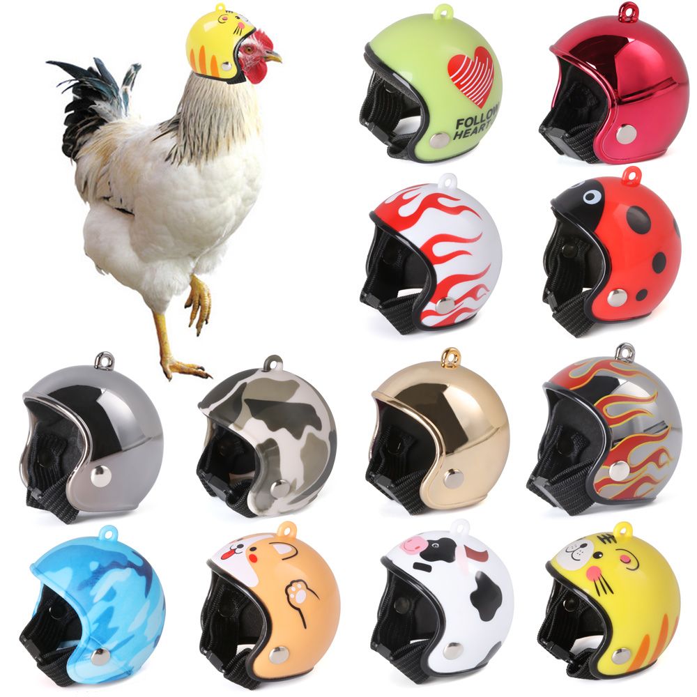 ABS Pet Supplies Funny Pet Pro - Pet X Supplies & Tack Reviews ulasan dan harga