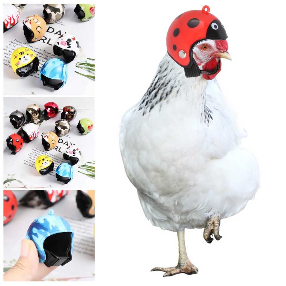 ABS Funny Pet Supplies Pet Pro - Pet X Supplies & Tack Reviews ulasan dan harga